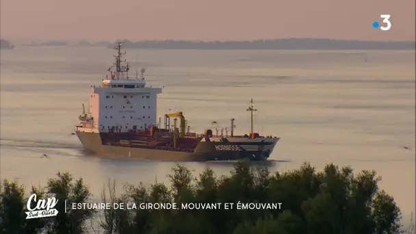 Cap Sud Ouest: Estuaire la naissance des îles ( extrait)