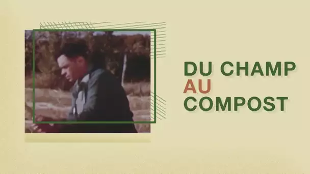 Directement du champ au compost. ABE - RTS