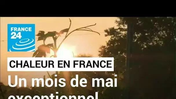 Episode de chaleur en France : un mois de mai exceptionnel • FRANCE 24