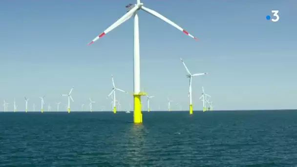 Visite de Barbara Pompili à Dunkerque.