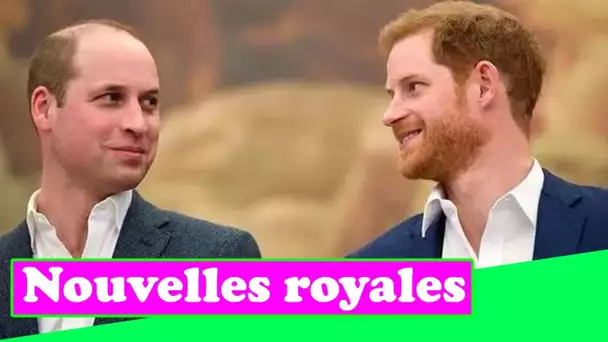 Le prince William et le prince Harry ont convenu de mettre la tension de côté dans un «très bon mouv