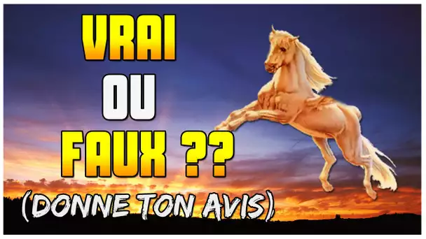 [ CHOC ] UN CHEVAL VOLANT !!! VRAI OU FAUX ??