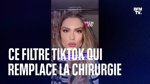 "Bold Glamour", le filtre TikTok qui remplace la chirurgie esthétique (et inquiète)