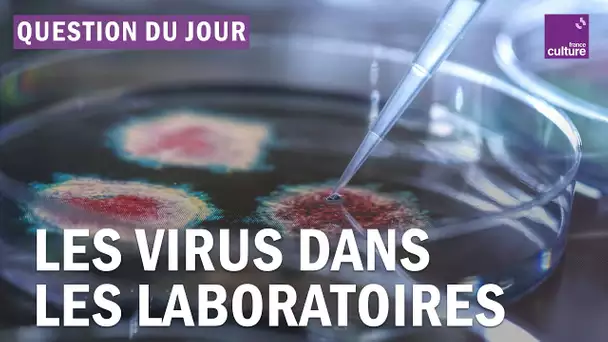 "Frankenvirus" : faut-il mieux encadrer certaines manipulations en laboratoire ?