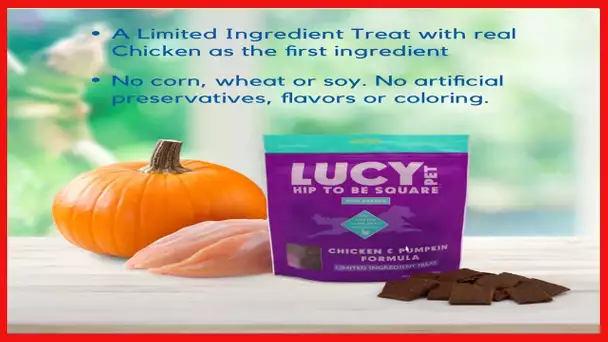 Lucy Pet Hip To Be Square Chicken And Pumpkin Dog Treats 6Oz