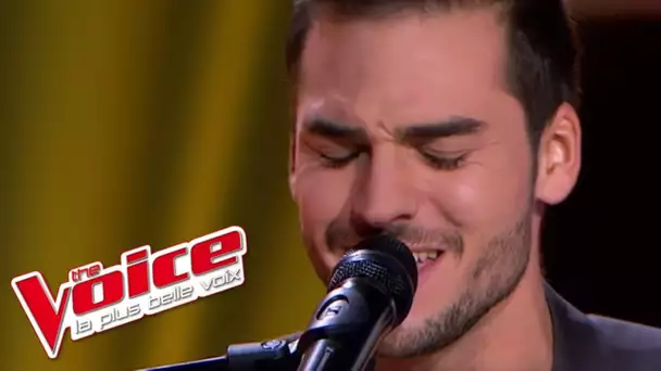 Alicia Keys – If I Ain&#039;t Got You | Michaël Lelong | The Voice France 2013 | Blind Audition