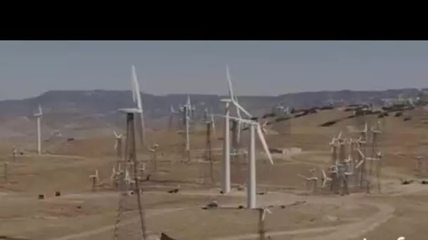 Etats Unis, Californie : champ d'éoliennes à Banning Pass