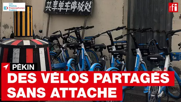 Pékin : régulation du marché des vélos partagés sans attache