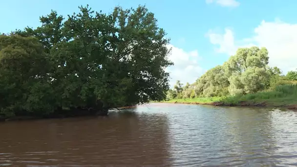 Loire-Atlantique : le domaine de Mazerolles