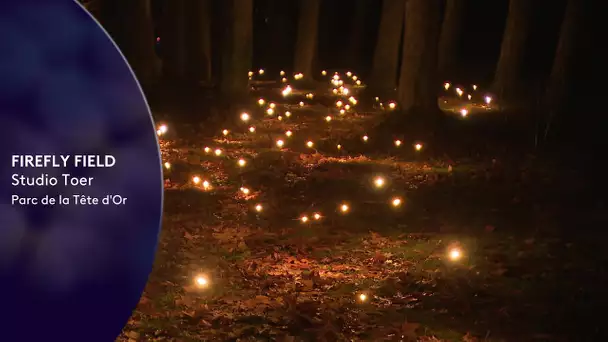 Fête des lumières de Lyon 2022 : Firely Field au parc de la Tête d'or