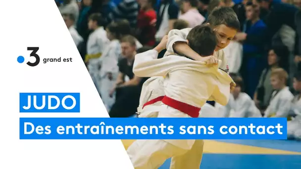 JUDO : des entraînements sans contact