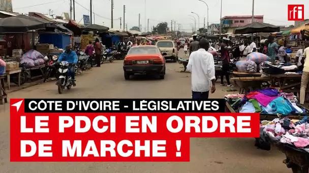 Côte d'Ivoire : pour les législatives, le PDCI et ses alliés en ordre de marche !