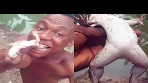 Un nigérian met les Chinois au défi de manger une grenouille vivant !!