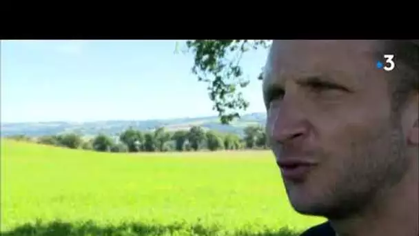 Aveyron : encore un apiculteur victime d'un vol de ruches