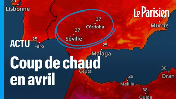 Canicule historique en Espagne, jusqu’à 40 °C attendus en Andalousie