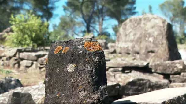 Mot d’oc : archéologie