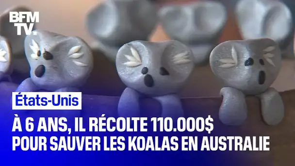 À 6 ans, il récolte 110.000$ pour sauver les koalas en Australie