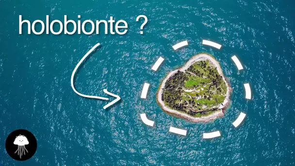 Cette île est-elle "vivante" ? - DBY #90