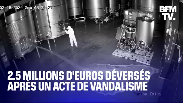 2.5 millions d'euros de vin déversés après un acte de vandalisme dans une cave en Espagne