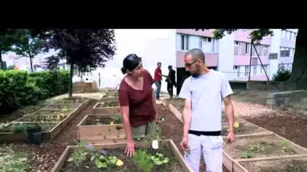 Les jardins partagés gagnent du terrain