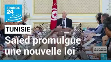 Tunisie : Kaïs Saïed promulgue une nouvelle loi électorale • FRANCE 24