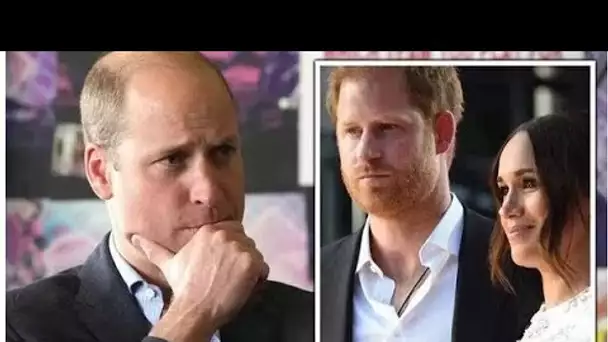 Le prince Harry `` met du sel dans la plaie '' alors que le prince William surnomme la `` véritable