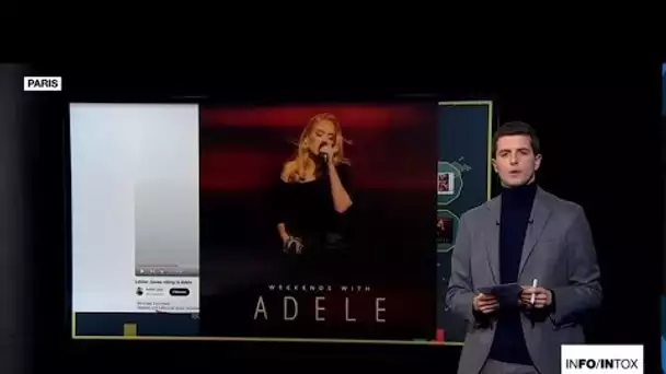 Non, la chanteuse Adele ne tient pas un drapeau palestinien en plein concert • FRANCE 24