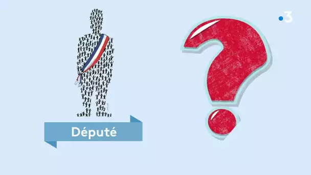 Législatives 2022 : à quoi servent les députés ?