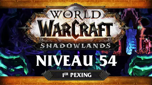 WoW Shadowlands #3 : Niveau 54 (ft. Lapi, Gius, Kenny et Flora)