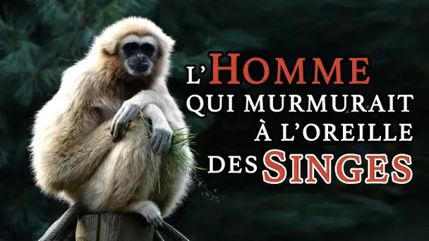 L'homme qui murmurait à l'oreille des singes - Découverte - L'Esprit Sorcier