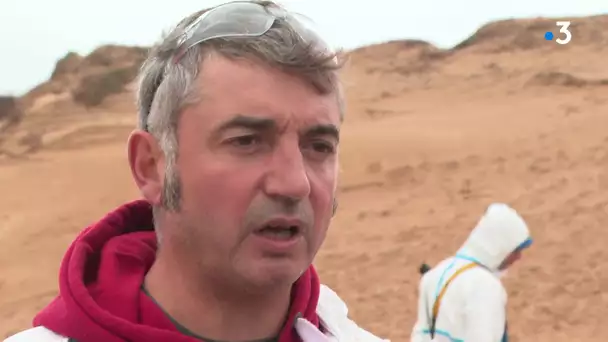 Les Sables-d'Olonne : le rorqual échoué sur la plage est mort de cause naturelle