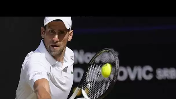 Tennis : Novak Djokovic remporte son 7ème titre à Wimbledon