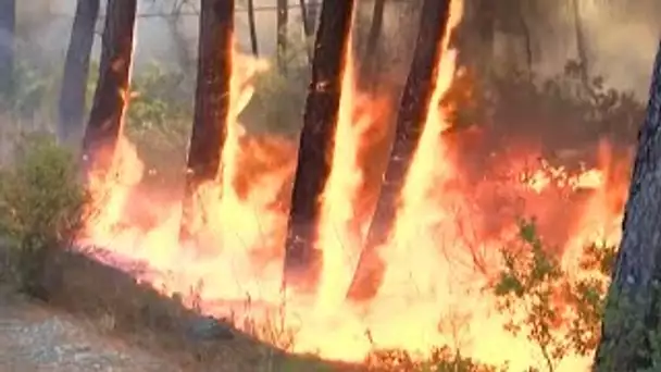 Des incendies ravagent le sud de la Turquie, des touristes et habitants évacués