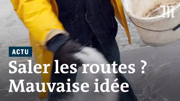 Pourquoi il faut arrêter de saler massivement les routes