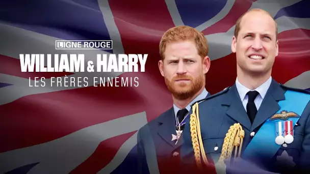 William & Harry, les frères ennemis (3/4) - La terrible place du cadet chez les Windsor
