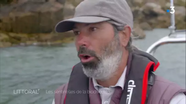 Les sentinelles de la biodiversité