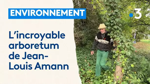 L'incroyable arboretum de Jean-Louis Amann