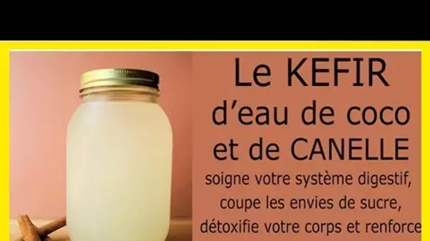 Le kéfir d’eau de coco peut aider à guérir l’intestin, améliorer la fonction immunitaire et préveni