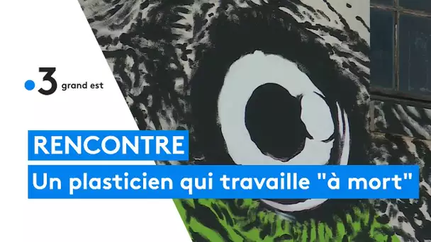 Rencontre avec un artiste plasticien qui travaille "à mort"