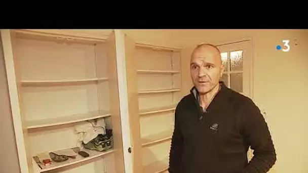 Détecter la mérule avec un chien renifleur
