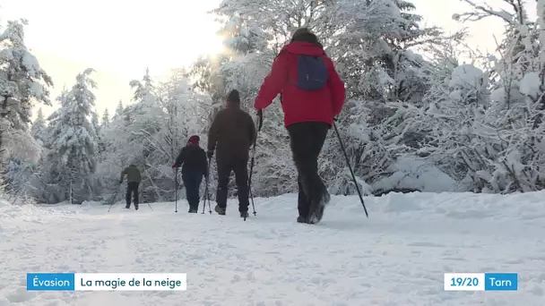 La magie de la neige à la petite station de Picotalen qui fait le plein de flocons dans le Tarn