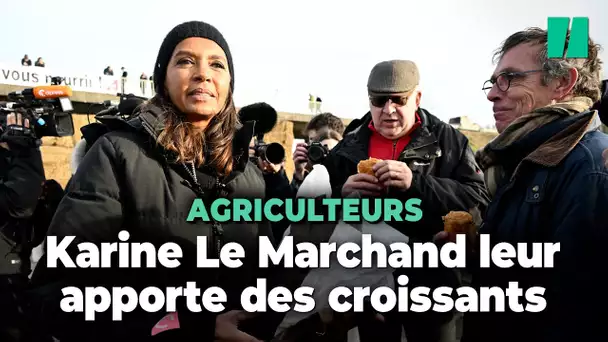 Karine Le Marchand n’a pas apporté que son soutien aux agriculteurs sur l’A4