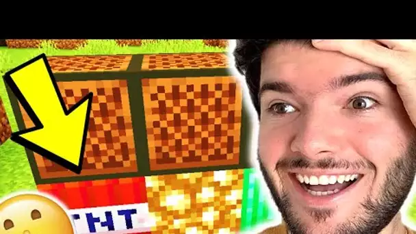 SAVAIS TU QUE CES BLOCS ÉTAIENT MAGIQUES DANS MINECRAFT ?