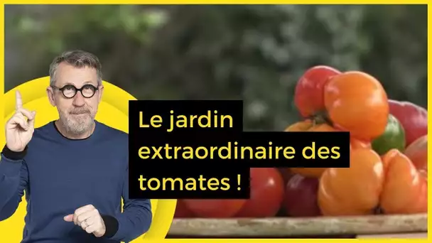 Le jardin extraordinaire des tomates ! - C Jamy