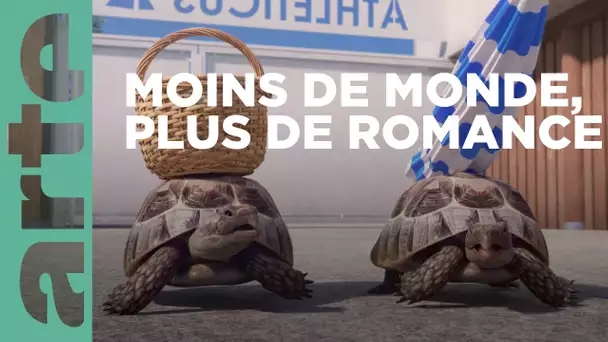 Promenade en barque (18/30) | Athleticus 🐘🦘🐢🦛🦩 | ARTE Family