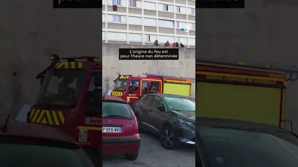 Mort d'un enfant dans un incendie au parc Kalliste à Marseille