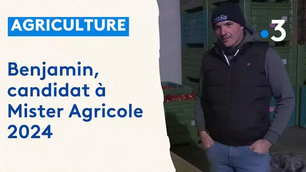 Un arboriculteur de Sisteron (04) candidat à Mister Agricole 2024