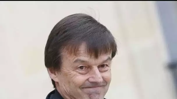 Nicolas Hulot multimillionnaire : découvrez le montant colossal de sa fortune personnelle