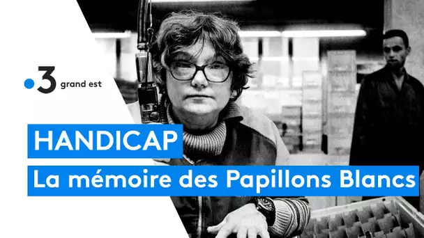 Handicap : l'association les Papillons Blancs sort un livre retraçant son histoire