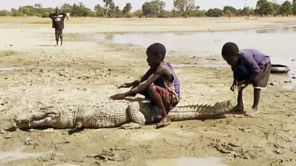 Classe nature au Burkina Faso - ZAPPING SAUVAGE